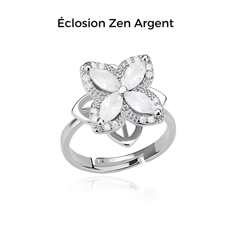 Bague En Argent 925 Anti-stress - Taille 57, 7,11g - Occasion, Argent Sterling